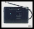 德生（Tecsun） R-202p 便携式袖珍两波段收音机英语听力四六级考试 老年人小调频广播半导体 标配 实拍图