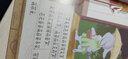 儿童逆商教育绘本6册扫码伴读注音版3-9岁孩子被拒绝没关系失败情商情绪管理图画故事书上书香节阅读节   实拍图