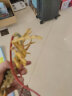 Wantmoin玩模乐仿真龙虾模型 大号澳洲龙虾 波士顿大龙虾海洋动物玩具 儿童认知玩具3-10岁 彩色澳洲龙虾|长38CM |实心PVC 晒单实拍图