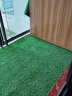 乐子君 仿真草坪人造草坪地毯草皮塑料假草皮阳光房隔热 30mm春绿1平方 实拍图