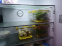 禧天龙PET冰箱保鲜盒食品级冰箱收纳盒塑料密封盒蔬菜水果冷冻盒沥水板 实拍图