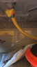 海立2米燃气管家用煤气天然气液化气金属不锈钢防爆波纹管专用软管rk2 实拍图