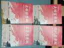 大唐悬疑录：兰亭序密码+璇玑图密码+长恨歌密码+大明宫密码（共4册）（讲述大唐盛世背后的悬念谜题！） 实拍图