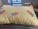 潮寝枕头宿舍学生可拆洗枕芯双人单位工地一个装单人可爱枕头芯 胡萝卜黄一只装【枕芯+枕套】 实拍图