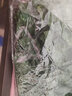 豫之韵 仿真花藤条客厅装饰仿真绿藤条吊顶楼梯空调管道装饰藤蔓葡萄叶 80片葡萄叶（1包12条）小而密 实拍图