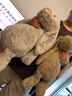 Jellycat害羞银色邦尼兔动物毛绒玩偶安抚潮玩娃娃送礼520礼物 银色 Really Big 实拍图