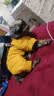 SLPC狗狗衣服冬天保暖中小型犬加厚四脚狗棉衣泰迪柯基小狗幼犬冲锋衣 蓝 3XL（适合约21-25斤） 实拍图