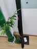 徒手 鱼竿手竿碳素钓鱼竿超轻超细鲫鱼竿28调台钓杆鲤鱼竿渔具套装 7.2米送6.3米+钓鱼礼包 实拍图