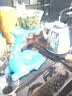 正扬磁吸玻璃自动茶具套装家用耐热创意功夫懒人泡茶器办公会客小套 一鹿高升(自动天蓝)+六高双层 实拍图