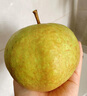 世果达正宗吉林延边州苹果梨霜后延吉龙井东北特产新鲜水果顺丰大白梨 9斤超大果【单果350g+】顺丰 实拍图