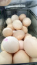 黄天鹅30枚L级大蛋 1.8kg/盒 黄天鹅可生食鸡蛋  精美礼盒装 实拍图