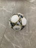 李宁足球4号儿童中考标准室内外世界杯比赛训练青少年小学生四号足球 晒单实拍图