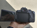 佳能/Canon 600D 700D 750D 760D 800D 850D二手单反相机新手入门旅游高清相机 750D【单机】 99新 实拍图