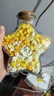 渐变色星星折纸条叠星星送玻璃瓶星星罐折星星专用纸幸运星彩色五角星手工diy礼物小瓶子加厚儿童紫色高颜 【渐变黄540张】送520星星瓶 实拍图