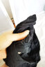 Calvin Klein CK 男士平角内裤套装 3条装 送男友礼物 U2664G 001黑色 L  晒单实拍图