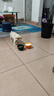 麦基乐 中华田园犬家养幼犬土狗小狗大黄狗纯黑小白狗体活体种狗 田园级 白色田园犬 公母备注 实拍图