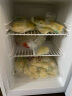 惠康（HICON）储奶小冰箱  急冻小冰柜迷你家用 单门小型冷冻单温柜 全冷冻母乳冰柜 普通款--冰柜60L-经典白 实拍图