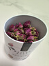 玫澜 有机玫瑰花茶 养生茶玫瑰花冠茶花草茶特级重瓣干玫瑰花茶罐装 有机玫瑰花冠茶20g*1罐 实拍图