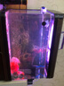 森森鱼缸灯led灯 防水灯 水族箱led灯 潜水灯鱼缸 龙鱼专用潜灯 梦之红ADO-600BL-Y+一拖一开关 实拍图