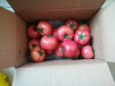 京地达山东普罗旺斯西红柿4.5斤彩箱装自然熟沙瓢口感番茄 源头直发 晒单实拍图