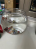 悠梵萌鱼缸生态一体缸乌龟缸鱼缸桌面亚克力透明圆形鱼缸 实拍图