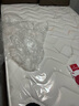 万里长城牌1.5米1.8m米床22cm厚环保椰棕整网弹簧床垫护脊可定制黄麻3D垫 【补贴】尊享（棕+整网簧）22cm 【补贴】1500*2000 实拍图