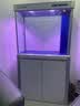 森森（SUNSUN）鱼缸水族箱含鱼缸客厅大型玻璃缸办公室龙鱼生态缸自循环水族箱 时尚款底滤0.8m长 36宽 靠墙(黑白灰) 实拍图