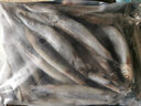 多春鱼满籽新鲜冷冻生鲜鱼类烧烤食材多籽鱼满籽多春鱼 3斤 实拍图