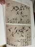 经典全集 郑板桥画集 8开中国画临摹画册书籍技法教材竹子画兰花书画字画书法临本写意花鸟 实拍图