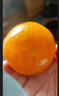 柏馋广西沃柑新鲜纯甜橘子当季时令水果桔子柑橘应季整箱正宗当季 精选5斤净重4.5斤 大果65-70mm 实拍图