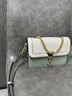 塔驰密司 新年包包品牌奢侈单肩斜挎包女士七夕情人节送女友老婆生日礼物 白绿色 实拍图