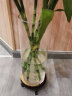 豪斯特丽（HOSTLY）直筒透明玻璃花瓶 特大号客厅摆件 富贵竹玫瑰百合插花平光花瓶 直径12高30 实拍图