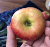 南非牛顿小苹果进口富士野生迷你苹果脆甜多汁孕妇当季新鲜水果 500g 晒单实拍图