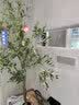 真石漆外墙漆仿大理石别墅天然喷砂修补防水防晒质感岩片艺术涂料 25KG广东省偏远乡镇需要自提 实拍图