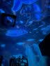 汶纳几星空投影仪小夜灯浪漫旋转梦幻卧室满天星光灯儿童房氛围灯六一GK 【插电常规款】3色光+彩盒（不旋转）+14款图案 实拍图