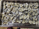 山姆大叔 乳山生蚝8XL级【JD顺丰-多地次日达】刺身活鲜海蛎子海鲜 XL【中号】单个90g｜肉小不推荐 核心产区丨6斤装【超值推荐】净5斤 实拍图
