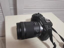 佳能（Canon）EOS RP+ 24-105mm全画幅微单套机 微单相机2620万像素 RP套机 实拍图