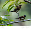 腾龙（Tamron）官方旗舰店90mm F/2.8全画幅微距定焦镜头 E卡口/Z卡口 人像微单镜头全画幅拍昆虫花草珠宝 牙医 尼康Z卡口 官方标配【送腾龙UV滤镜+64G卡+清洁套装】 实拍图