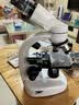 萨伽（SAGA）显微镜双目学生生物儿童科学实验套装美容养殖专业电子小学生礼物 实拍图