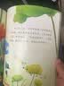 3-6岁 幼儿科学启蒙童话绘本—恐龙去哪儿了（扫码听故事音频+百科知识）中科院研究员审阅  实拍图
