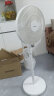 康佳（KONKA）电风扇家用风扇立式摇头落地扇节能轻音小风扇卧室台式空气循环扇工业换气扇大风力电扇KF-L21D35 实拍图