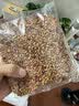 誉满园（yumanyuan）蔷薇花种子爬藤月季四季开花爬墙攀援庭院室花卉盆栽植物玫瑰种子 实拍图