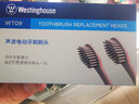 西屋（Westinghouse） 电动牙刷头2支装（刷头不通用 ） 2支 【WT09】 实拍图