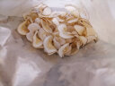 福东海 海底椰片250克 新鲜海底椰干浓香广东煲汤汤料煮糖水炖汤食材 雪梨膏材料 实拍图