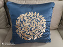 米乐 轻奢刺绣抱枕靠垫布艺沙发靠枕床头办公室护腰靠背汽车腰枕 浅灰(圆圈花刺绣) 45cm*45cm 枕套 实拍图