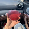 莳荟果蔬【顺丰现发】新西兰红玫瑰苹果当季泰勒甜脆苹果进口水果送礼盒 进口红玫瑰大果8个简装(单果170-200g) 实拍图