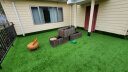 乐子君仿真草坪人造草坪地毯草皮塑料假草皮人工室内别墅阳台 30mm绿50  晒单实拍图