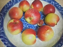攸竹 新疆珍珠枣油桃新鲜枣味小油桃当季脆甜桃子新鲜水果礼盒 【精选品质果】3斤【尝鲜装】 实拍图