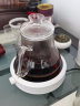 玉兰香耐高温加厚玻璃煮茶壶大容量1.3L壶喷淋式泡茶烧水壶红茶普洱茶具 A款 编织1100毫升+白色保温炉 实拍图