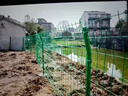 敏语铁网 铁丝网围栏防护网围栏网高速公路护栏网围山圈地果园防护网 硬塑4毫米1.8米高3米长一套 实拍图